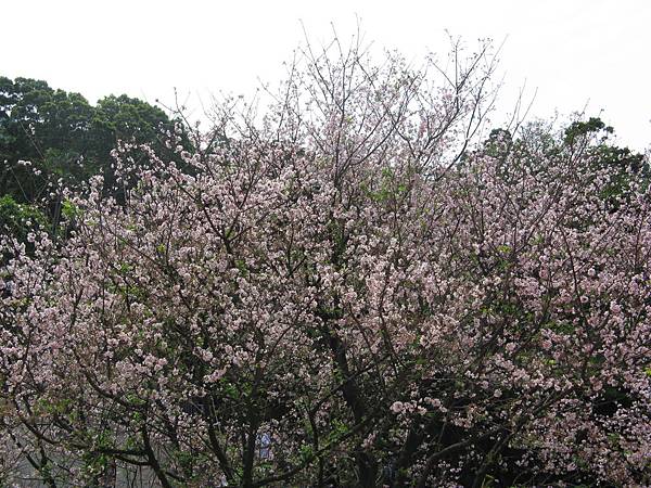 IMG_0836.JPG