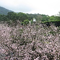 IMG_0850.JPG