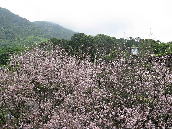 IMG_0853.JPG