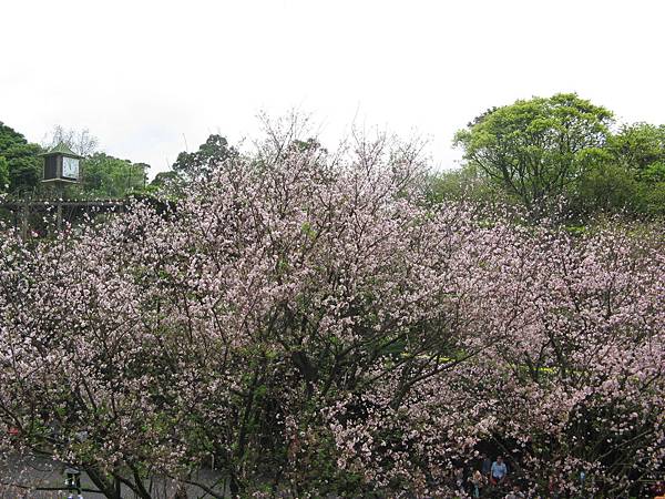 IMG_0867.JPG