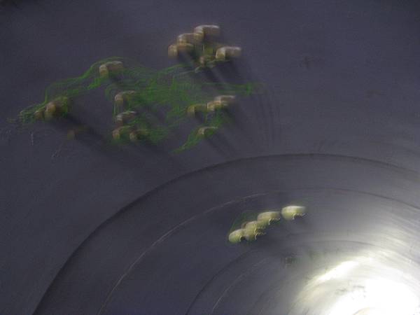 星空隧道
