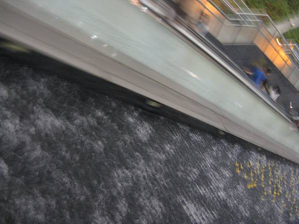 捷運中央公園站黃色小鴨