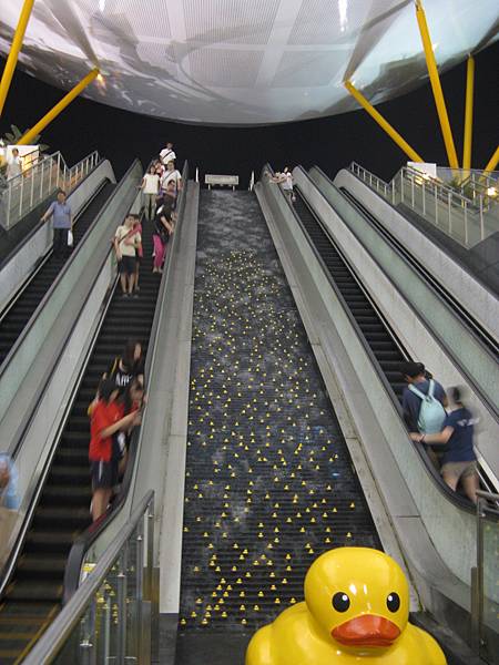 捷運中央公園站黃色小鴨