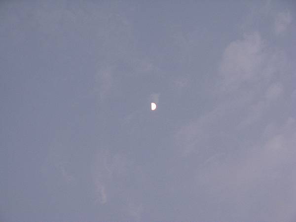 IMG_1544.JPG
