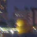 IMG_1550.JPG