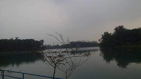 P_20131015_105701.jpg