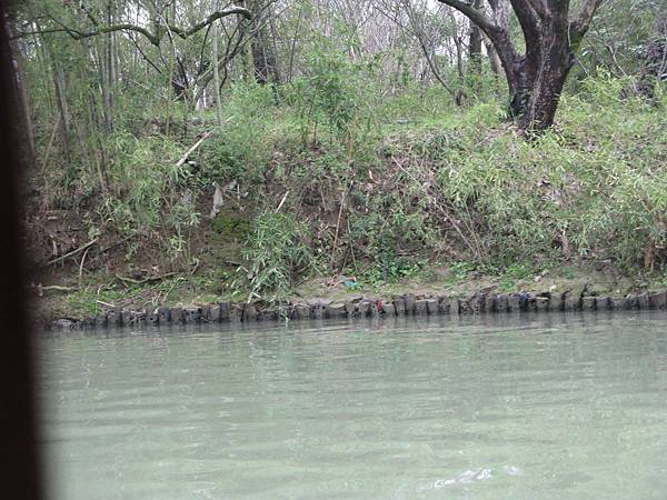 西溪國家濕地公園