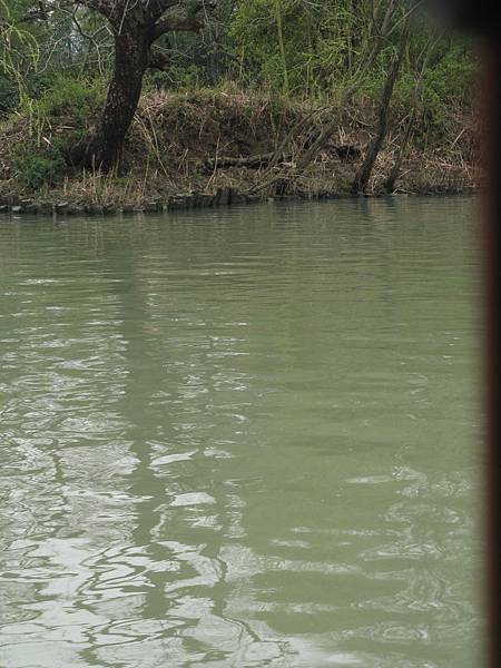 西溪國家濕地公園