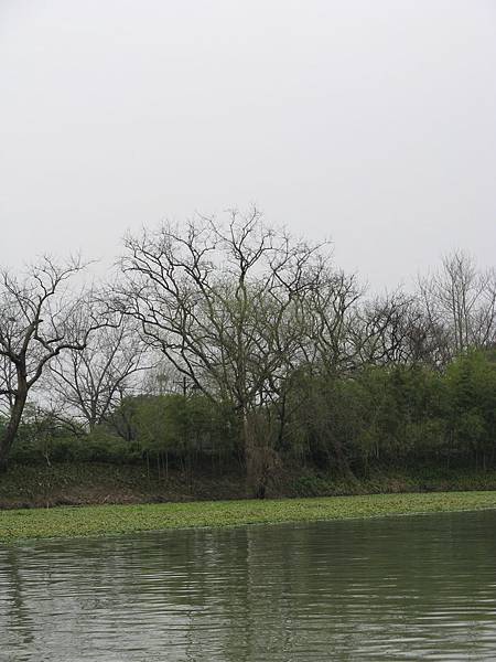 西溪國家濕地公園