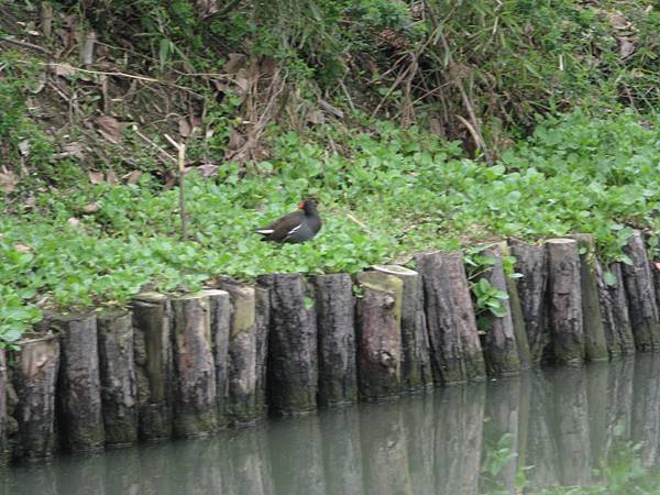 西溪國家濕地公園