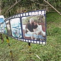 西溪國家濕地公園