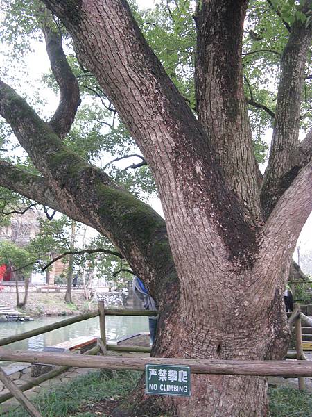 西溪國家濕地公園