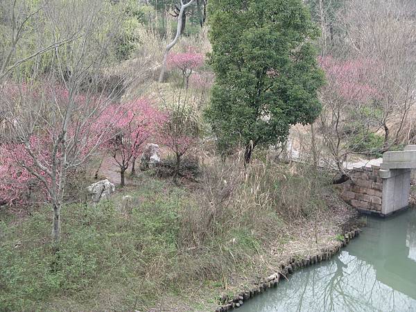 西溪國家濕地公園