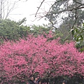 前往山外山菜館途中