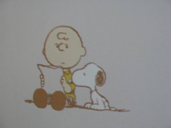 走進花生漫畫 Snoopy 65 週年巡迴特展高雄首站 / 查理布朗和史努比 Charlie Brown and Snoopy