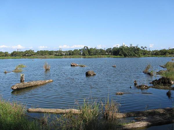 羅東林場生態池