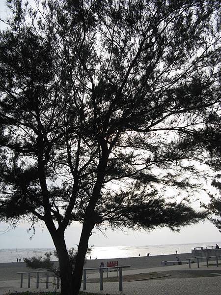 觀夕平台