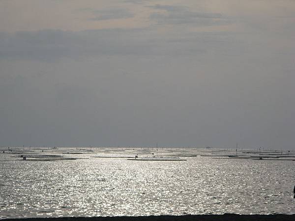 觀夕平台