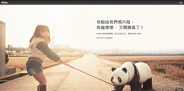 flickr panda