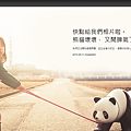 flickr panda