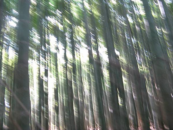 IMG_4856.JPG