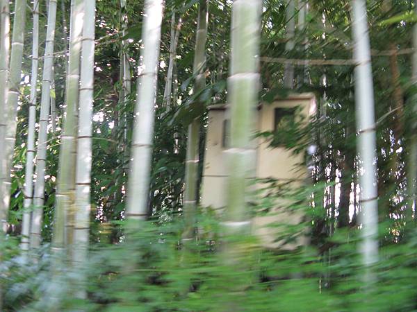 IMG_4862.JPG