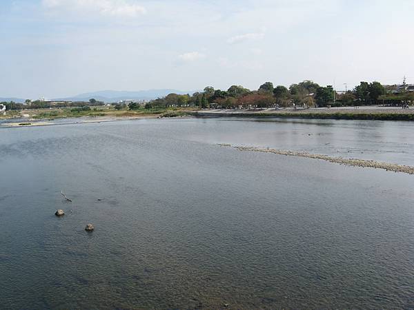 IMG_4884.JPG