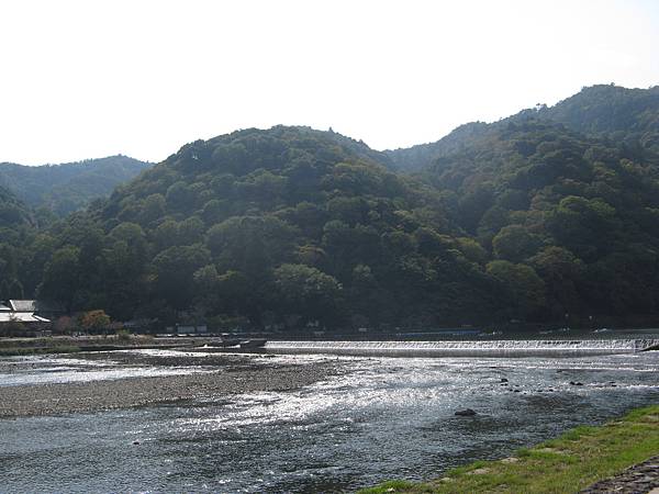 IMG_4890.JPG