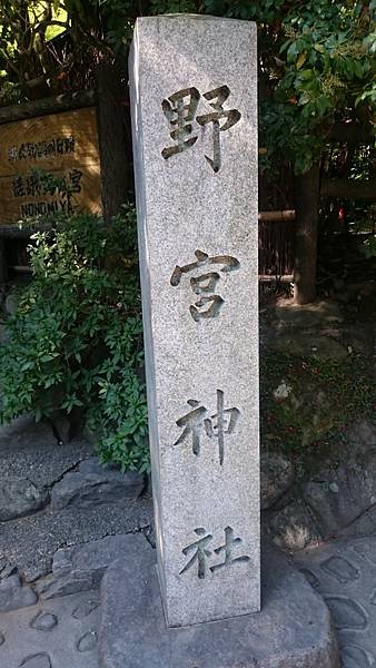 DSC_1470.JPG