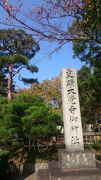 DSC_1500.JPG
