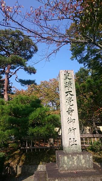 DSC_1501.JPG