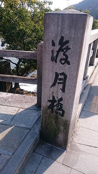 DSC_1506.JPG