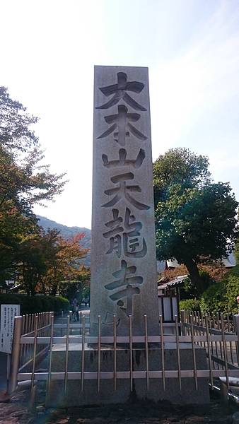 DSC_1505.JPG