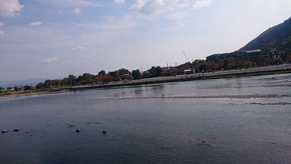 DSC_1507.JPG