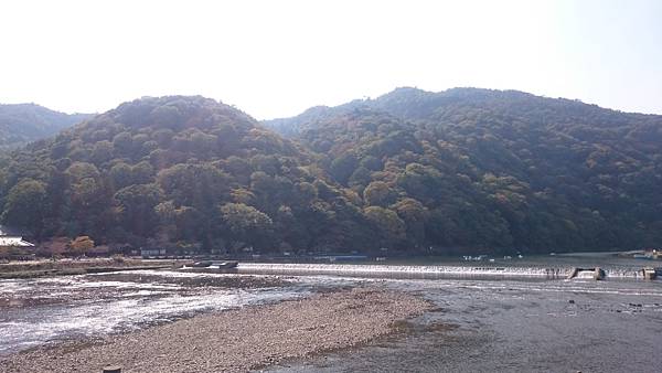 DSC_1510.JPG