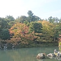 DSC_1541.JPG