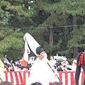 IMG_5319.JPG