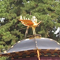 IMG_5321.JPG
