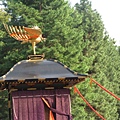 IMG_5324.JPG