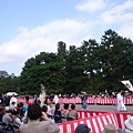 DSC_2208.JPG