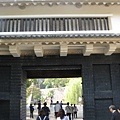 IMG_5629.JPG