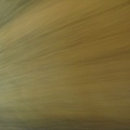 IMG_5788.JPG