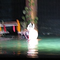 IMG_5800.JPG