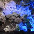 IMG_5839.JPG