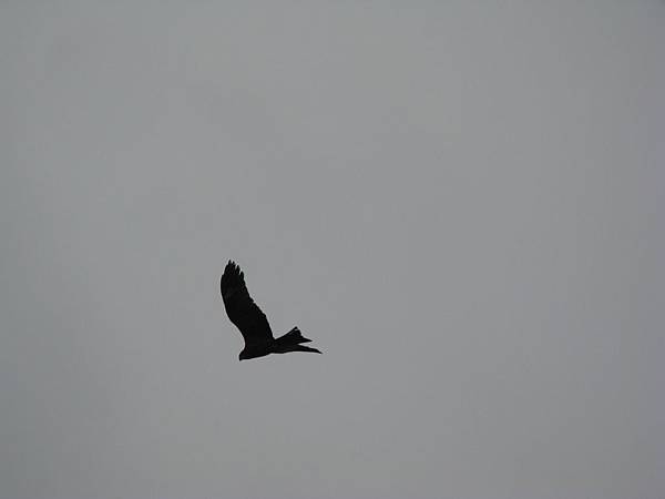 IMG_5940.JPG
