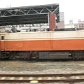 IMG_3007.JPG