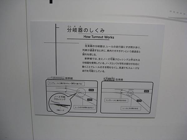 IMG_6373.JPG
