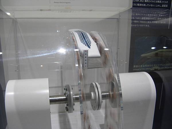 IMG_6395.JPG