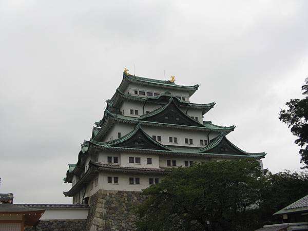 IMG_6469.JPG