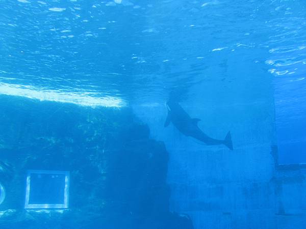 IMG_6512.JPG